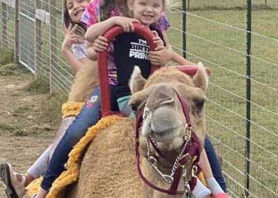 Children riding a camel at a farm.