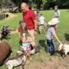 Children and adults interacting with farm animals.