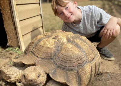 Boy smiling next to a large tortoise.
