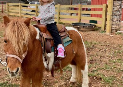 Pony Rides in Benton TN