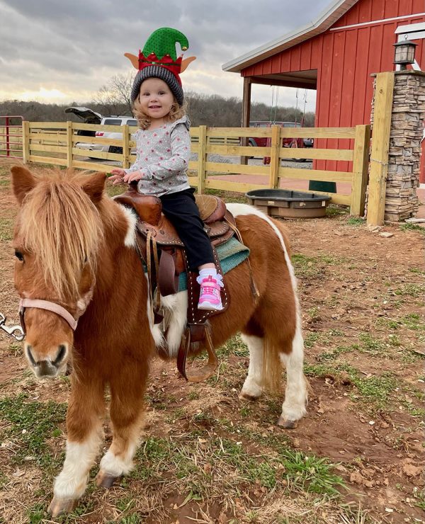 Pony Rides in Benton TN