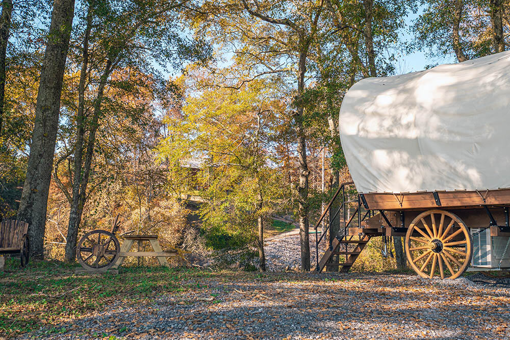 The Welcome Wagon at Ocoee Riverside Farm
