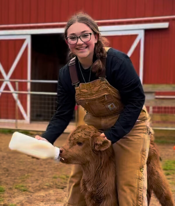 Hug a Highland Bottle Feeding & Petting Zoo