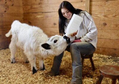 Woman bottle-feeding a calf in barn.