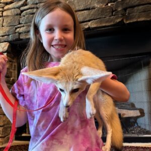 Fennec Fox