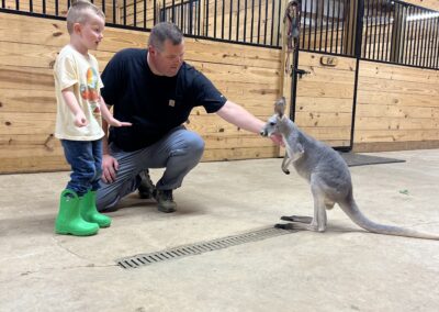 Man and child interacting with a kangaroo.