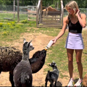 llama Bottle Feeding
