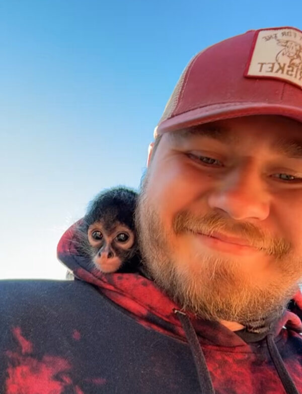 Just Monkeying Around