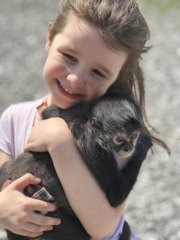 Just Monkeying Around - Image 3